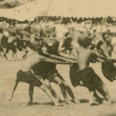 반월보통학교 총력전 이미지